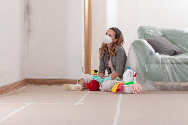 Reliable Mold Cleanup contractor in Oakdale, PA by WQB Mold Removal
